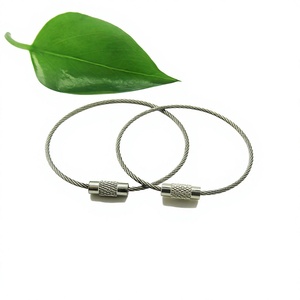 โรงงานอี้หวัง คาราไบเนอร์ขนาด 150 มม. สายเคเบิลสแตนเลส ห่วงคล้องกุญแจ - Product Image 1