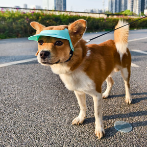 Gorras <span class=keywords><strong>de</strong></span> visera <span class=keywords><strong>de</strong></span> refrigeración para cachorros <span class=keywords><strong>de</strong></span> verano para mascotas pequeñas, medianas y cómodas con correa ajustable para perros y gatos - Product Image 6