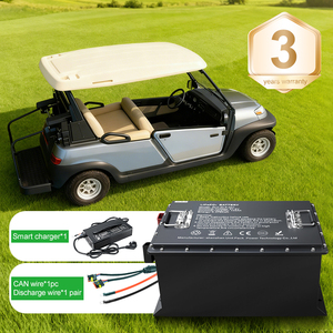 Hiện tại cao 51.2V lithium ion Golf giỏ hàng Pin 105ah 51.2Volt Pin Lithium cho xe Golf - Product Image 3
