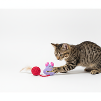 Jouet pour chat en sisal et plumes, classique et adorable, en gros