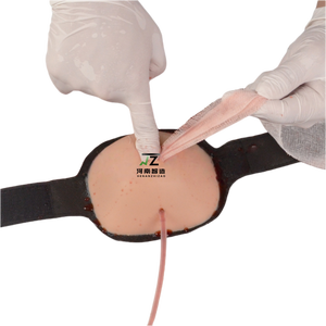 Modèle <span class=keywords><strong>de</strong></span> blessure par balle portable Module <span class=keywords><strong>de</strong></span> traumatisme <span class=keywords><strong>de</strong></span> blessure <span class=keywords><strong>de</strong></span> <span class=keywords><strong>guerre</strong></span> pour le modèle <span class=keywords><strong>de</strong></span> pratique <span class=keywords><strong>de</strong></span> traitement des plaies - Product Image 2