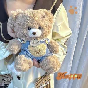 高品质卡哇伊泰迪熊毛绒玩具新设计棕色白熊可爱连衣裙pp棉填充网眼完美圣诞礼物 - Product Image 4