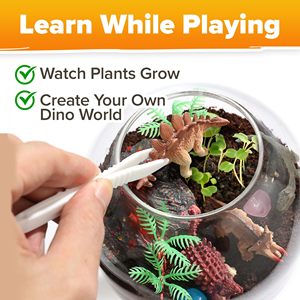Kit Terrario in Vetro Ecologico Illuminato con Design Dinosauro Fai-da-Te per Scrivania, Prodotto Localmente - Product Image 4