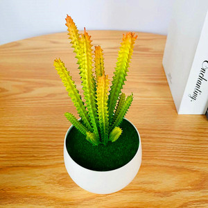Plante succulente artificielle en pot, 6 longues et 6 courtes, cactus bonsai en PVC souple, ornement de bureau - Product Image 3