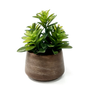 Plante succulente artificielle en <span class=keywords><strong>laurier</strong></span> dans un pot en papier mâché, plante en faux jade, faux bonsaï succulent pour la décoration moderne de la maison et du bureau - Product Image 1