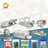 ORME Fruit- en groentereinigingslijn, machine voor het wassen en snijden van diepvriesfruit en -groenten voor conserven