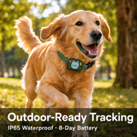 Traceur GPS 4G GPRS pour chiens et chats - Étanche IP65, localisation en temps réel, dispositif anti-perte pour iOS/Android