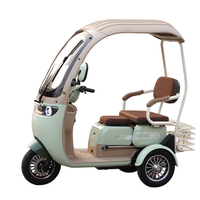 Tricycle électrique à 3 roues, moteur 1000W, 35 km/h, carrosserie ouverte 60V pour adultes, avec certification CEE pour passagers, directement de l'usine