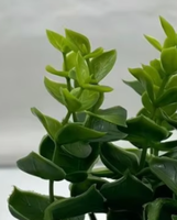 Plantes vertes artificielles en PE en pot, écologiques, résistantes aux UV, persistantes, pour la décoration de mariages, fêtes, bureaux, maisons, et de bureaux à domicile, lot de plusieurs pièces
