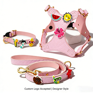 カスタムデザイナー人気でエレガントなソフトレザー犬のハーネスとリーシュセットPVCかわいいステッカーバッジペットアクセサリー卸売 - Product Image 1
