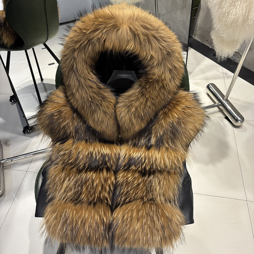 Raccoon