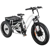 Novo pedal de design assistente gorda pneu de carga triciclo elétrico