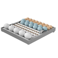 Machine à Couver les Poussins à Capacités Variées (64, 128, 192, 256, 320 Œufs) – Incubateur Automatique avec Retournement pour Œufs d'Autruche, Canard et Oie