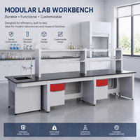 Fabricant de mobilier de laboratoire modulaire en acier, îlot de laboratoire, table centrale en acier, établi de laboratoire avec rangement et plateau