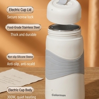 Bouilloire Électrique Portable Intelligente pour Voyage, Mini Tasse Chauffante en Acier Inoxydable 304 avec Contrôle de Température, Théière