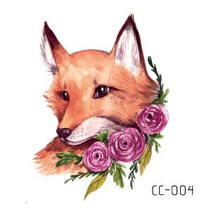 CC004