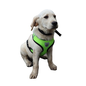 Set Pettorina e Guinzaglio per Gatti e Cuccioli in Rete Traspirante, Anti-Rompimento, a Basso Prezzo, Disponibile - Product Image 1