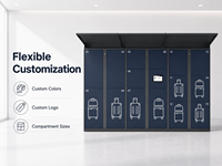 Casillero Inteligente para Equipaje, Sistema de Almacenamiento de Equipaje de Autoservicio, Sistema de Almacenamiento Seguro para Hoteles, Centros Turísticos, Centros Comerciales, OEM
