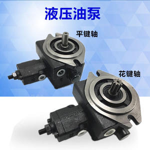 Bombas Hidráulicas VHO-F-20-A2 VHO-F-15-A3 A2 VHO-F-12-A3 con Cabezal de Bomba de Paletas Intercambiables - Product Image 5