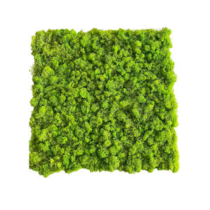 Vente en gros d'art mural en mousse naturelle véritable de haute qualité renne stabilisé vert mur en mousse conservée pour la décoration - Product Image 1