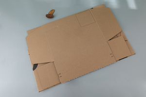 Tùy Chỉnh In Tự Niêm Phong Các Tông Sóng Hộp Bưu Phẩm Tái Chế Giấy Kraft Với Dính Tear Dải Cho Giày Dép Và Quần Áo - Product Image 3