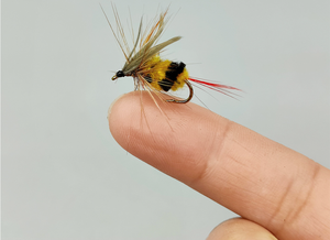 Stimulateur de mouches flottantes en mousse <span class=keywords><strong>pour</strong></span> la pêche à la truite : Paraglider, Caddisfly, Mayfly, Light Cahill, <span class=keywords><strong>pour</strong></span> <span class=keywords><strong>eau</strong></span> douce - Product Image 5