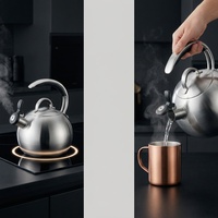 Bouilloire à thé en acier inoxydable poli, compatible induction et gaz, design moderne et écologique pour la maison et les hôtels, eau bouillante de haute qualité