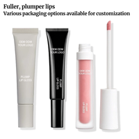 Gloss à lèvres repulpant à sensation de picotement doux, hydratant, non irritant, pour des lèvres sexy, OEM ODM, repulpage doux et hydratation