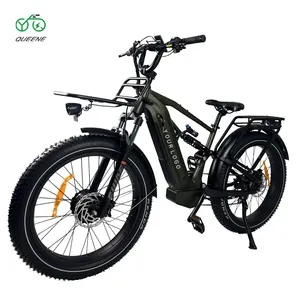 QUEENE best fat tire ebike1000 watt electric bike 1500w long range motor bike high power fast speed form China factory