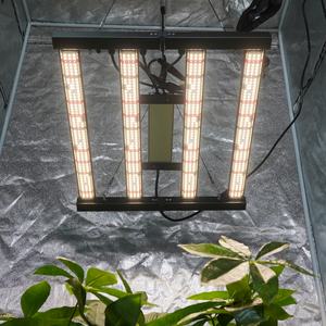 Luz LED de Cultivo para Plantas, Espectro Completo Azul y Rojo, IP65, Hidropónica, Disponible en Plantas de la UE, Barra de Luz de Cultivo Azul y Roja de 240W, desde China - Product Image 2