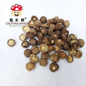 Champignons Shiitake Séchés en Usine, Meilleure <span class=keywords><strong>Vente</strong></span>, Spécial Soupe, Mini Champignons Shiitake Séchés, Champignons Déshydratés à Vendre - Product Image 2