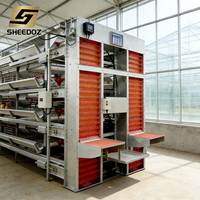 Cage de batterie H-type pour poules pondeuses, équipement d'élevage avicole pour l'obtention d'œufs, avec automatisation de la ponte