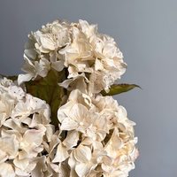 Fleurs artificielles d'hortensia, fleurs séchées avec motifs en relief - Décoration intérieure et accessoires de photographie de mariage