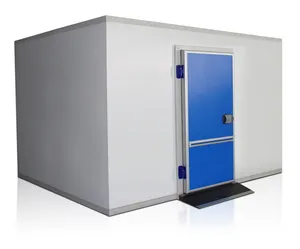 Easy To Assemble Cool Room Chambre Froide Coldroom Cold Storage Freezer Room in Food Processing Farms Warehouse