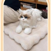Petit tapis de lit pour chat en peluche lapin, coussin de couchage chaud et moelleux, tapis de sol pour l'automne/l'hiver