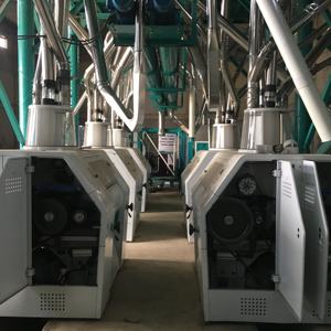 Máquina automática de harina de trigo, molino de harina de panadería, juego completo - Product Image 6