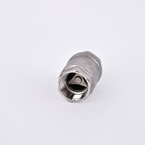 RTS Thép Không Gỉ 201 304 NPT BSP Một Chiều Không Trở Lại H12 Kiểm Tra Van Chủ Đề Mùa Xuân Tải Dọc Kiểm Tra Van - Product Image 3