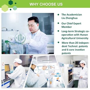 中国工場溶剤抽出プラント液体ユッカスキディゲラ粉末エキス - Product Image 6