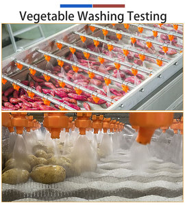 Soft Roller Brush Fruit <b>Washer</b> High Pressure Spray Mango Dragon Fruit Pineapple Fruit Belt Washing Machine - Product Image 4