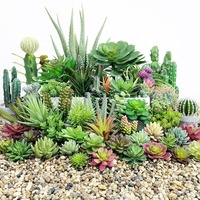 Succulentes en gros décoratif mini cactus assortiment extérieur intérieur suspendu arrangement plantes artificielles succulentes à vendre