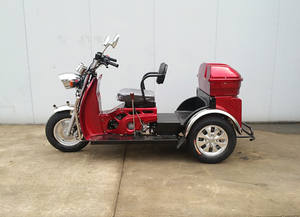 Hot Sale <strong>50cc</strong> Handicapped <strong>Gas</strong> <strong>Tricycle</strong> for the Passenger - Product Image 5