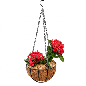Pots en fibre de coco suspendus en gros |   Tailles personnalisées, service OEM et prix compétitifs pour les commandes en gros - Product Image 1