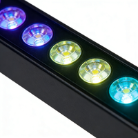 Projecteur LED Portable Sans Fil sur Batterie en Aluminium pour Événements - Effet Wash et Wall Washer