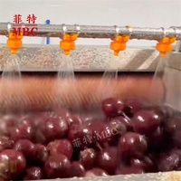 MBC OEM Aangepaste 500-2000 Kg/uur Hoge Capaciteit Cassave Aardappel Bieten Wortel Was- en Schilmachine RVS Schil- en Reinigingsmachine