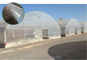 150 v עמיד ldpe חממה פלסטיק פוליאתילן סרט חממה 200 מיקרון סרט חממה - Product Image 5