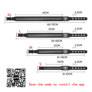 Bluetooth App Control Oplaadbaar Voorkom Verlies Waarschuwing Kleurrijke Knipperende Led Licht Halsband Benodigdheden Voor Nachtelijke Uitlaathond - Product Image 4