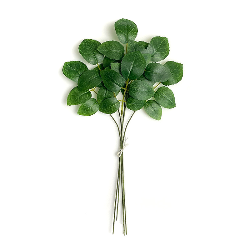 Une rose verte à 5 feuilles - 10 par bouquet