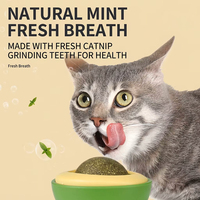 Juguete Masticable para Gatos con Diseño de Gorra Ecológico e Interesante, Carcasa de ABS Estilo Aguacate de 25g, Bola Giratoria de Catnip y Menta para Divertirse