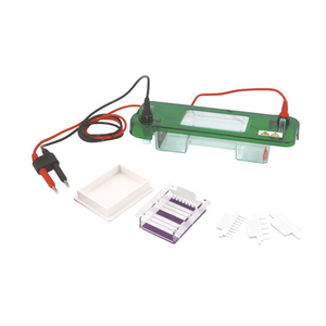 Analizador de Sistema de Electroforesis en Gel de Agarosa Horizontal con Electrodos Desmontables JY-SPAT - Product Image 1