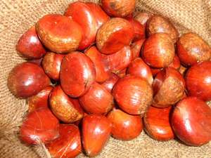 Nuovo raccolto di castagne fresche dolci ottimali/castagne taiane all'ingrosso - Product Image 4